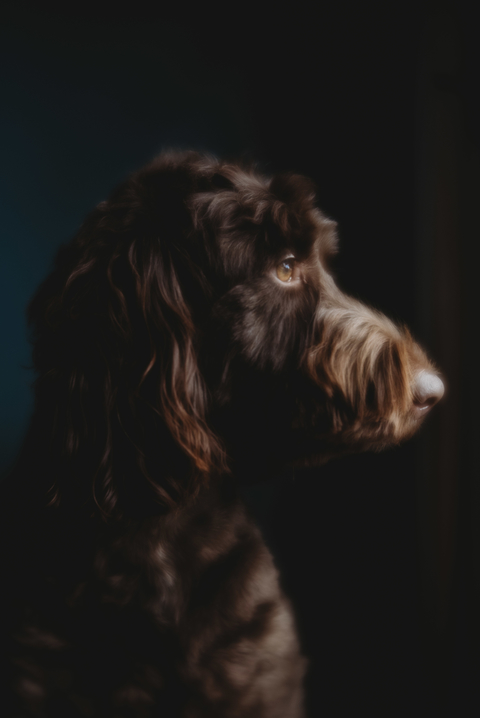 Velvet 56 | Creative Portrait Camera Lens | Lensbaby Velvet 56 | Creative Portrait Camera Lens | Lensbaby