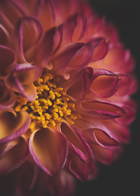 Sol 45 | Camera Lens For Creative Bokeh Effects | Lensbaby Sol 45 | Camera Lens For Creative Bokeh Effects | Lensbaby