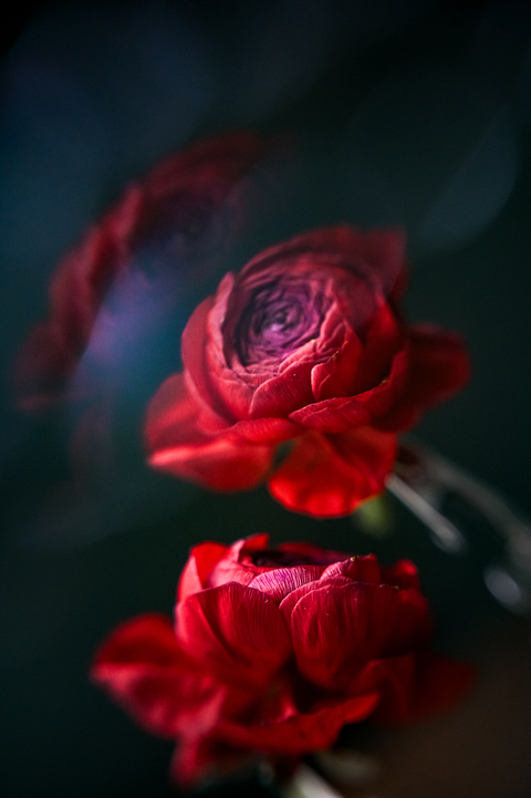 Sol 45 | Camera Lens For Creative Bokeh Effects | Lensbaby Sol 45 | Camera Lens For Creative Bokeh Effects | Lensbaby