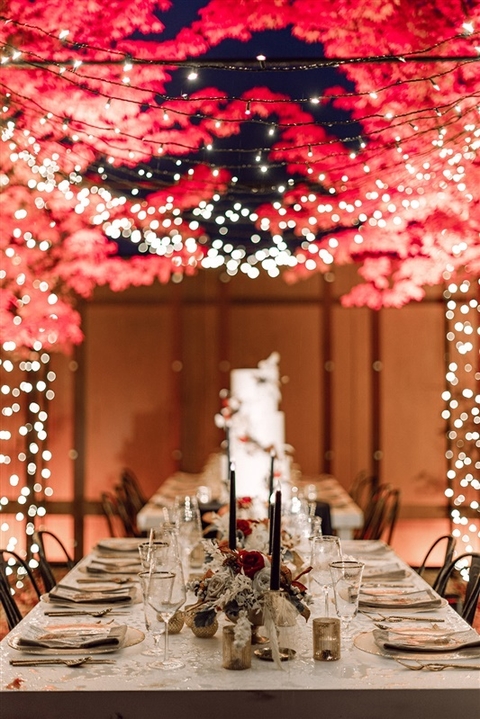 Wedding-and-Event-Lighting-by-LightSmiths-Seattle-Novelty-Hill-Januik-Winery