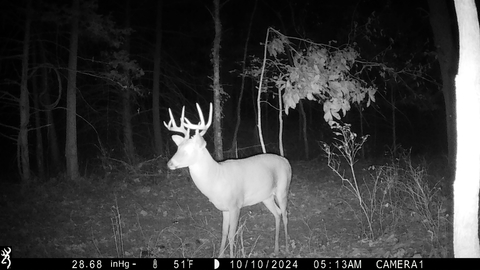 Browning Spec Ops Elite HP5 Trail Camera Review Browning Spec Ops Elite HP5 Trail Camera Review