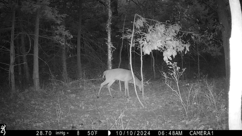 Browning Spec Ops Elite HP5 Trail Camera Review