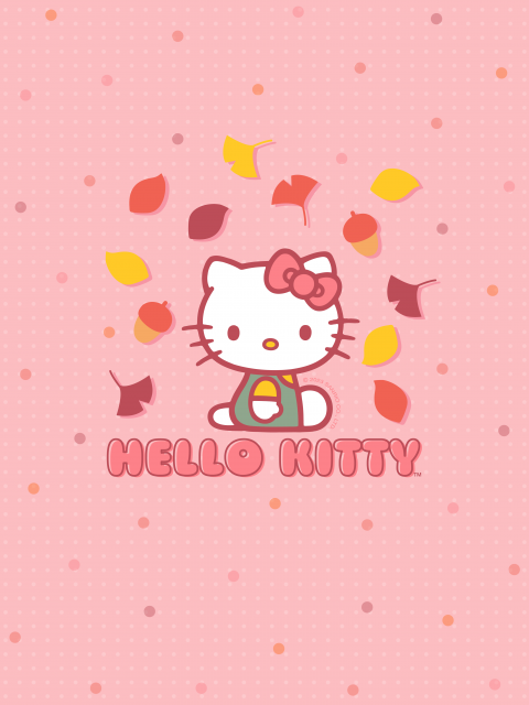 Pink Hello Kitty PJ Set