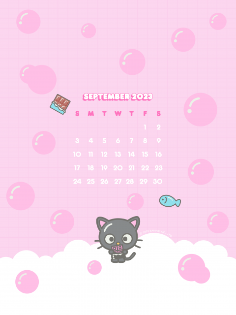 2024 Sanrio Hello Kitty Calendar  Hello kitty wallpaper, Hello kitty  crafts, Diy hello kitty