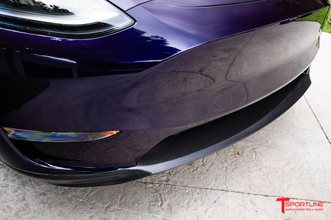 TMaxx Metallic Uber Purple Model Y with 19